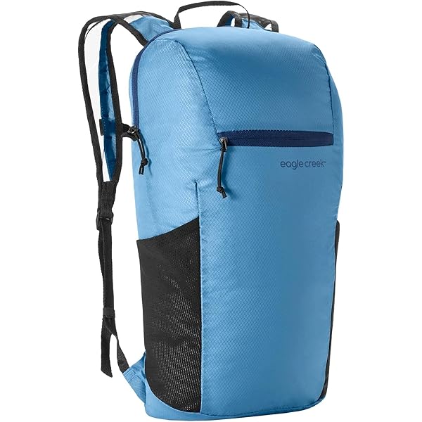 Amazon.com | eagle creek Ranger Xe Backpack 16L, Mesa Blue